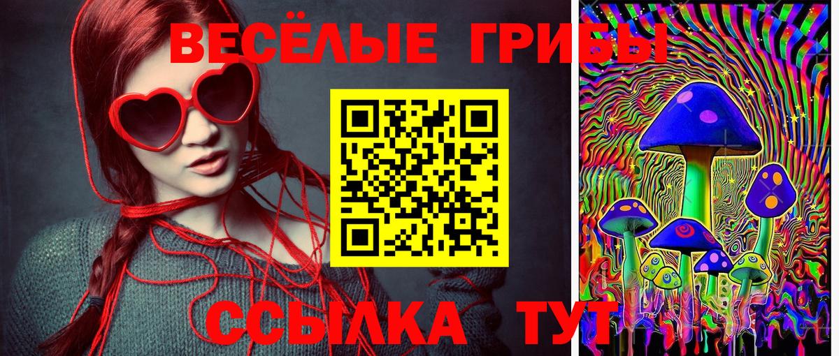 Новоуральск  Псилоцибиновые грибы Psilocybe  Псилоцибиновые грибы Psilocybe  Вход с VPN 